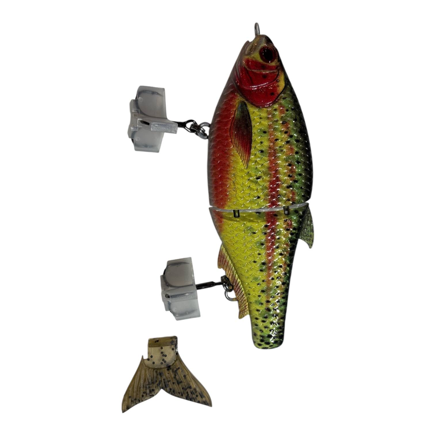 Titan Shad