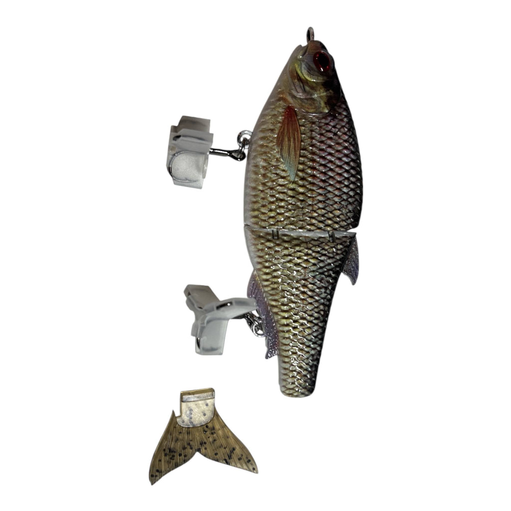 Titan Shad